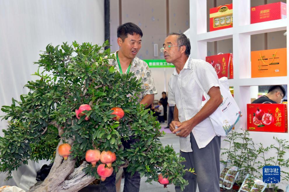 大白菜注册网送500